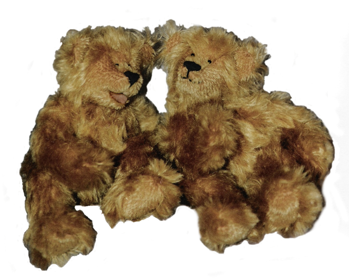 Teddy Twins